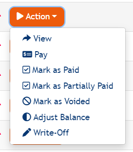 Invoice Summary